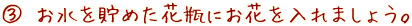 (3) お水を貯めた花瓶にお花を入れましょう。