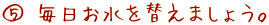 (5) 毎日お水を替えましょう。